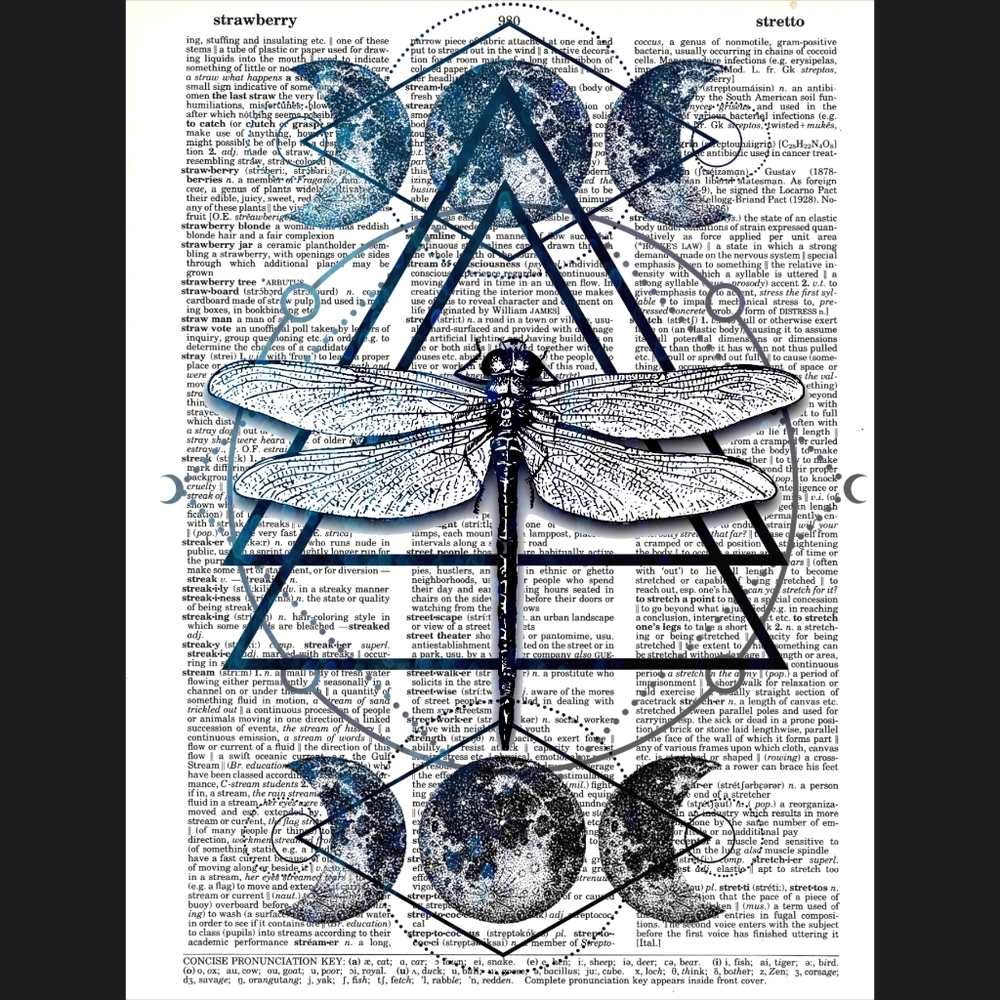 Dragonfly Moon Geometric Dictionary Art Print - Picture 4 of 4